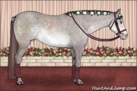 Horse Color:White Spotted Chocolate Sable Champagne Chinchilla Frame 