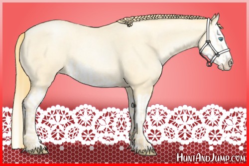 Horse Color:Buckskin Roan Pearl  and Buckskin Roan Pearl Splash 