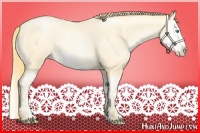 Horse Color:Buckskin Roan Pearl and Buckskin Roan Pearl Splash