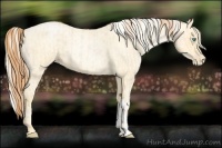 Horse Color:Buckskin Roan Pearl  and Silver Buckskin Roan Pearl 