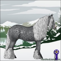 Horse Color:Silver Black Chinchilla Varnish Rabicano