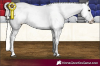 Horse Color:White Spotted Silver Black Appaloosa Rabicano 