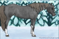 Horse Color:Smoky Black Varnish Rabicano
