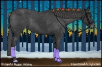 Horse Color:Black Appaloosa Rabicano 