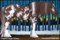 Horse Color:White Spotted Chocolate Black