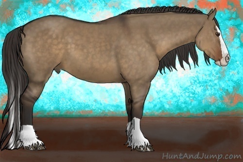 Horse Color:Liver Red Dun Splash 