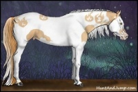 Horse Color:Gold Champagne Splash Tobiano 