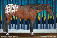 Horse Color:Brown Appaloosa  and Gray Brown Appaloosa 