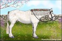 Horse Color:Perlino Appaloosa  and Perlino Appaloosa 