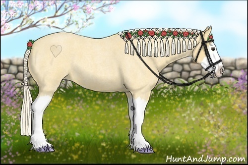 Horse Color:Palomino Roan Splash 