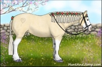 Horse Color:Palomino Roan Splash