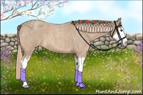 Horse Color:Palomino Roan Splash 
