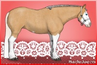 Horse Color:Silver Buckskin Roan Splash 