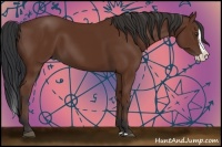 Horse Color:Bay Splash 