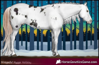 Horse Color:Midnight Liver Red Onyx Ice Pearl Appaloosa Rabicano  and Black Ice Appaloosa 