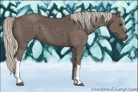 Horse Color:Silver Black 