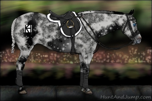 Horse Color:ERROR: UNKNOWN ANOMALY