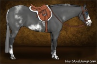 Horse Color:White Spotted Black Sabino Frame