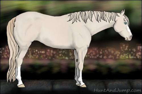 Horse Color:Smoky Creme