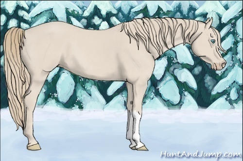 Horse Color:Smoky Creme
