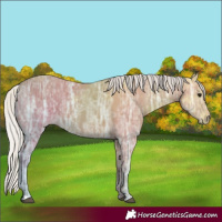 Horse Color:Silver Bay Ice 