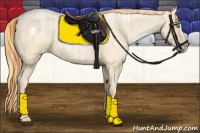 Horse Color:Buckskin Roan Pearl  and Buckskin Roan Pearl Frame 