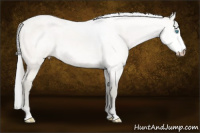 Horse Color:Gray Perlino 