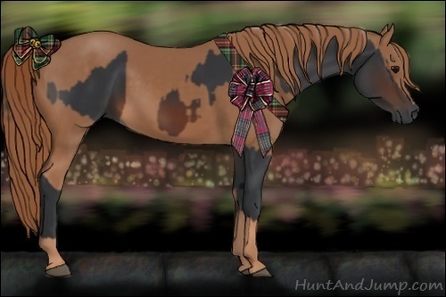 Horse Color:Brown Rabicano  and Chestnut Rabicano 