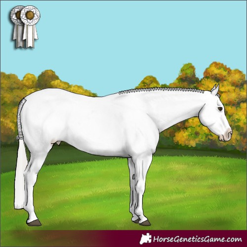 Horse Color:White Spotted Silver Brown Mushroom Snowcap 