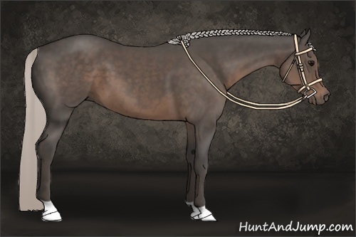 Horse Color:Silver Black 