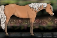 Horse Color:Silver Bay 