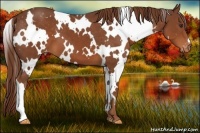Horse Color:White Spotted Chestnut Varnish