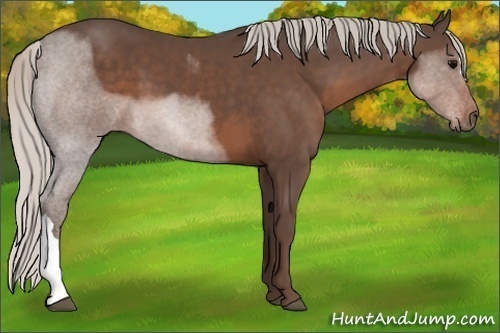 Horse Color:Silver Black