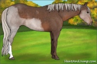 Horse Color:Silver Black 