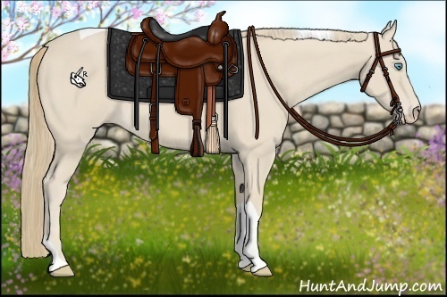 Horse Color:Smoky Creme Tobiano 