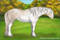Horse Color:White Spotted Chocolate Palomino Pearl Sabino 