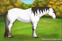 Horse Color:Liver Red Roan Fewspot