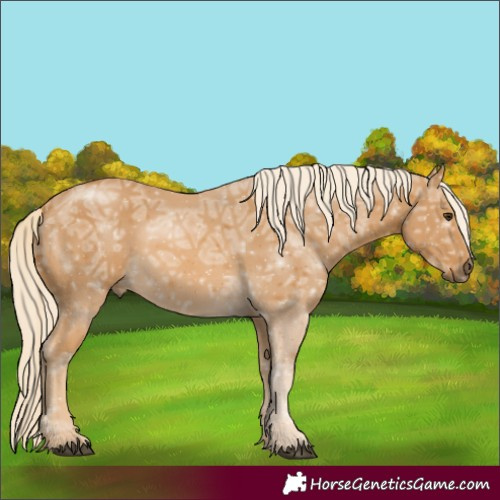 Horse Color:Palomino Ice