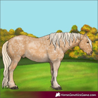 Horse Color:Palomino Ice