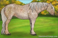 Horse Color:Palomino Ice 