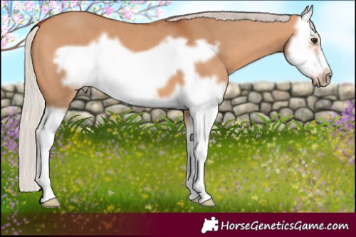 Horse Color:Silver Bay Dun Splash Frame 