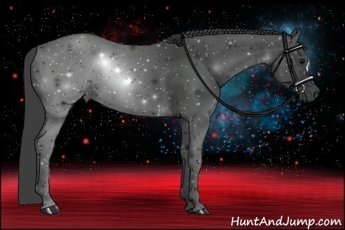 Horse Color:Smoky Black 