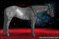 Horse Color:Smoky Black 