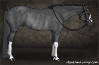 Horse Color:Blue Roan Rabicano