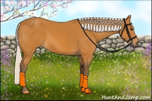 Horse Color:Silver Bay 