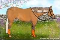 Horse Color:Silver Bay