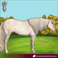 Horse Color:White Spotted Chocolate Palomino Pearl Dun