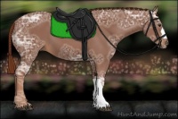 Horse Color:Chestnut Ice 