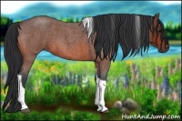 Horse Color:Bay Roan Tobiano 