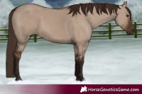 Horse Color:Liver Red Dun 